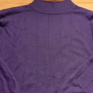 Dress Barn Petite Mock Turtleneck Size SP